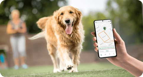 Atualização imediata